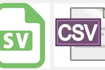 A CSV file.