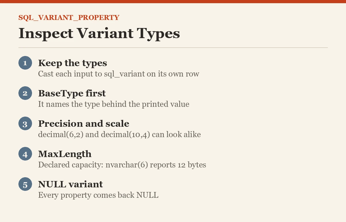 Inspect Variant Types
