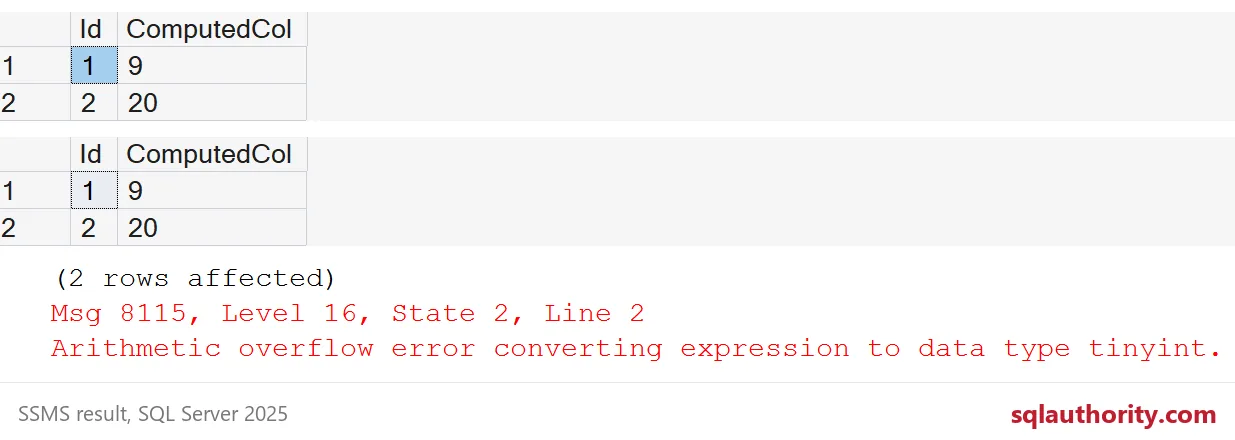 Computed values 9 and 20 appear above Msg 8115, an overflow converting to tinyint.