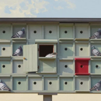 A wooden pigeon loft at dusk with a pigeon in every nesting box except one empty box with an open door.