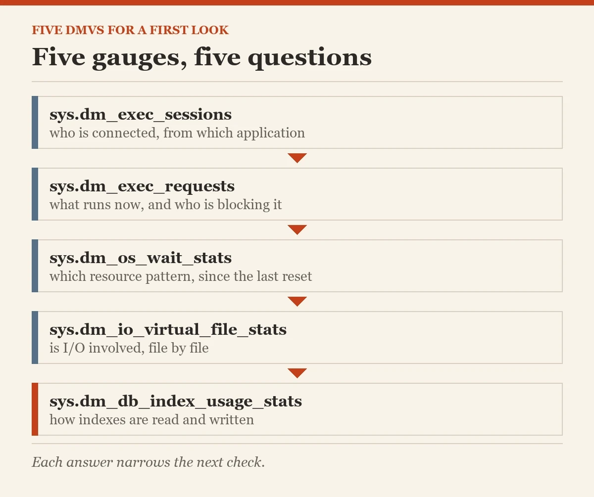 Five gauges, five questions: a diagram about the five DMVs worth memorizing