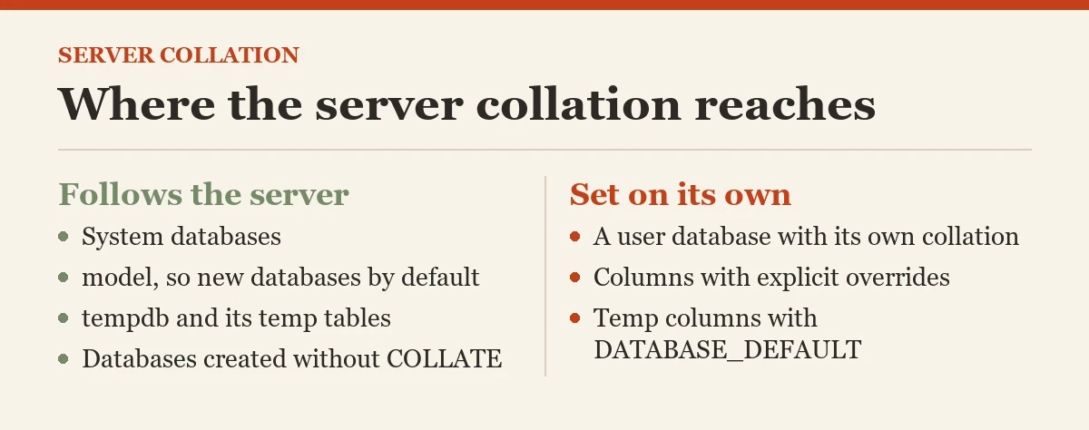 Where the server collation reaches: a diagram about the server collation