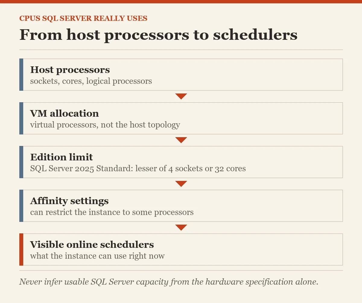 From host processors to schedulers: a diagram about the CPUs SQL Server really uses