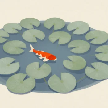 A pond covered in lily pads with one red koi showing in a gap