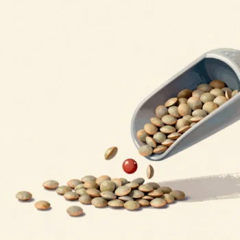 Unsorted lentils pouring into a grinder with a red pebble among them