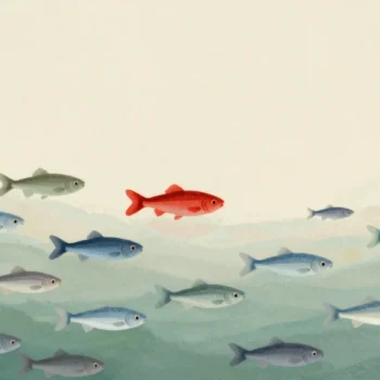 A school of silver fish all swimming the same way in clear water, one red fish among them
