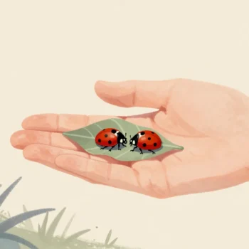 An open hand holding two nearly identical red ladybirds, one with a single extra small dot.