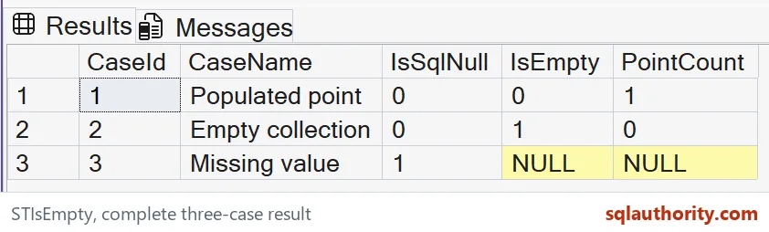 Native SSMS results distinguishing a populated point, an empty collection and a missing SQL value through NULL, emptiness and point-count flags.
