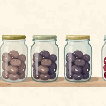 A row of bean jars on a shelf, one jar with a single extra red bean on top