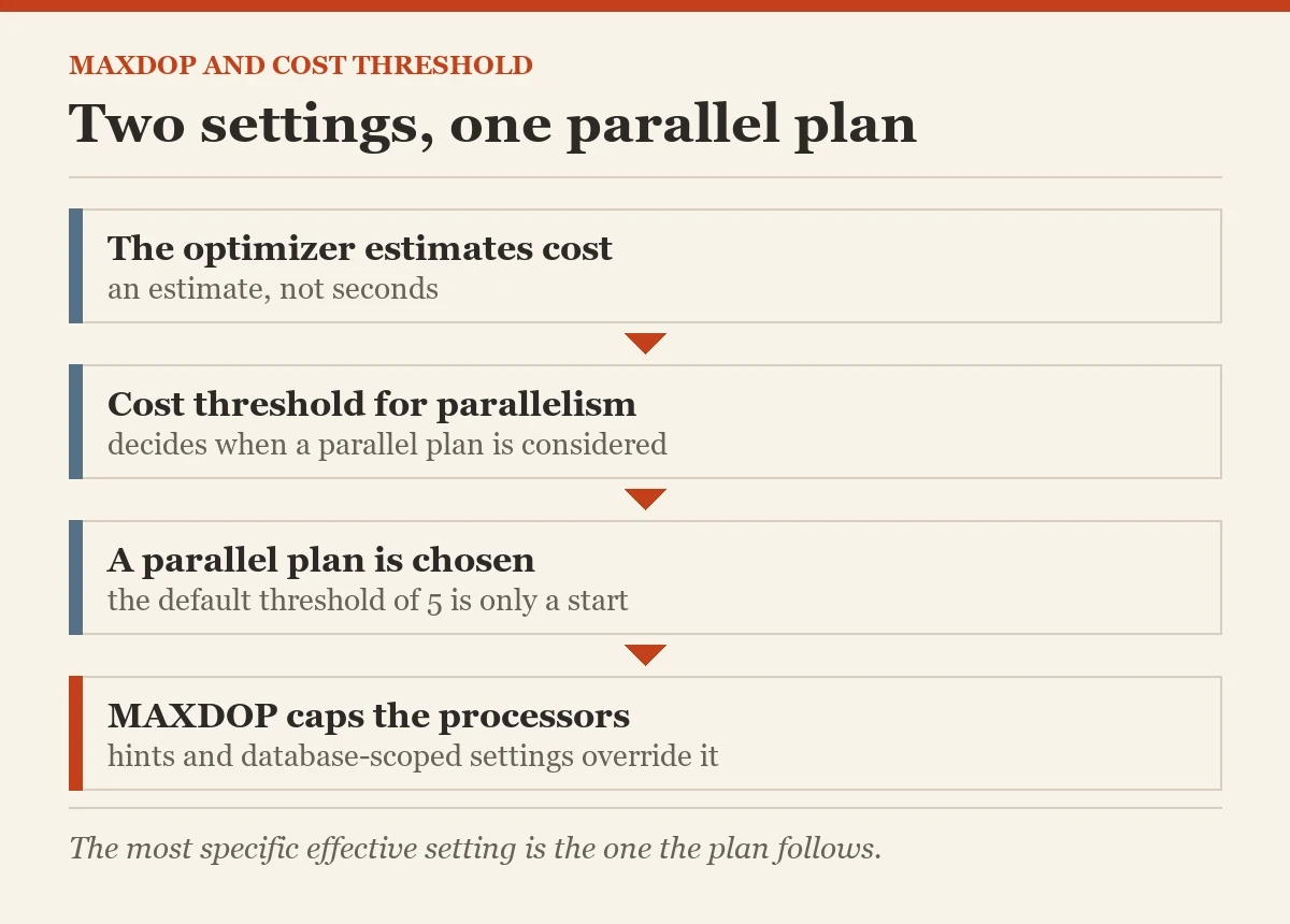 Two settings, one parallel plan: a diagram about the MAXDOP and cost threshold