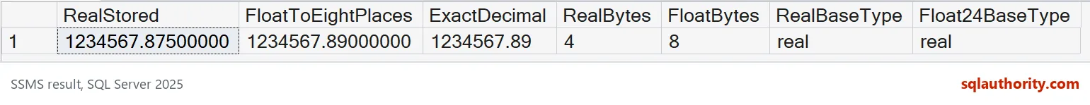 Result grid compares real and decimal precision, storage widths, and the float24 base type