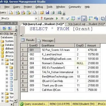SQL SERVER - Tips from the SQL Development Series - Wildcard - Querying Special Characters - Day 2 of 35