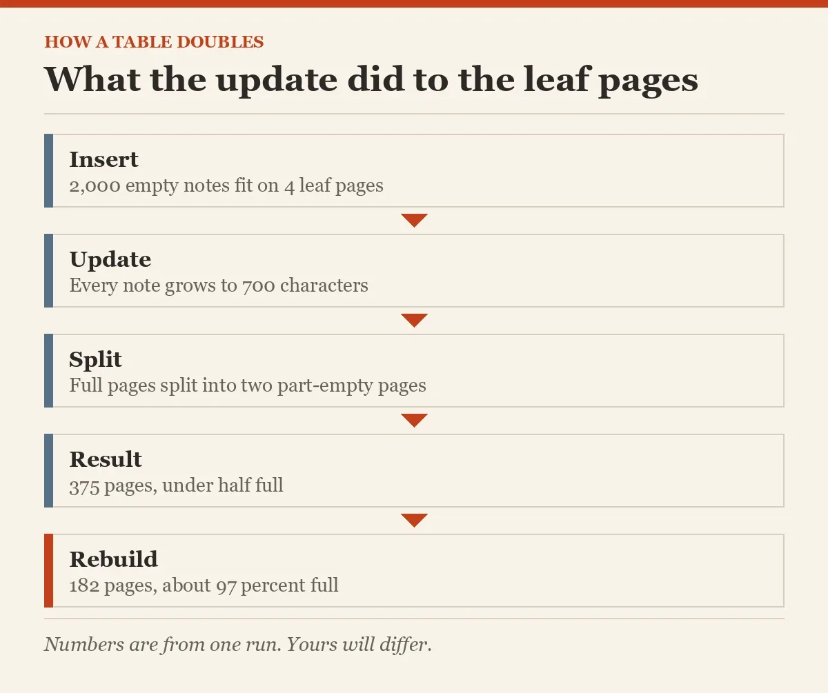What the update did to the leaf pages