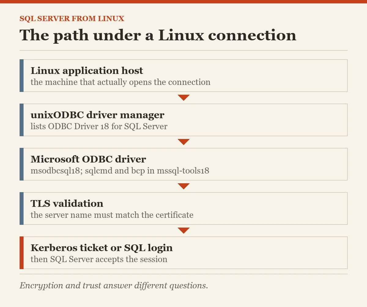 The path under a Linux connection: a diagram about the connecting to SQL Server from Linux