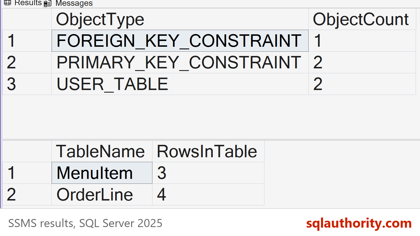 SSMS result grids listing the objects and row counts in the small sample database before an export.
