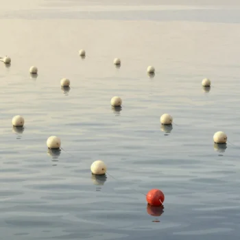 A harbor seen from above with a grid of mooring buoys, small boats tied to most of them and a few buoys floating empty.