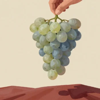 A hand lifting a bunch of grapes by its top stem, the branching stems hanging open above a red cloth