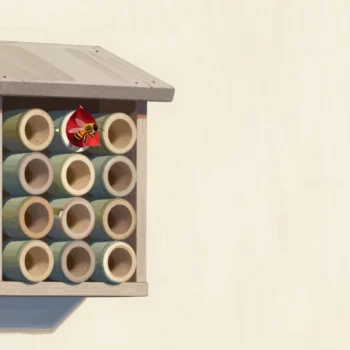 A wooden bee hotel of hollow tubes on a garden wall, each tube sealed separately, one bee landing at its own.