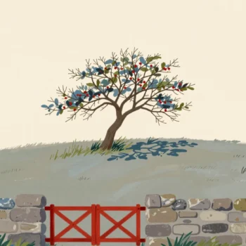 A lone hawthorn tree bent sideways by old winds on a calm day, a red gate below.