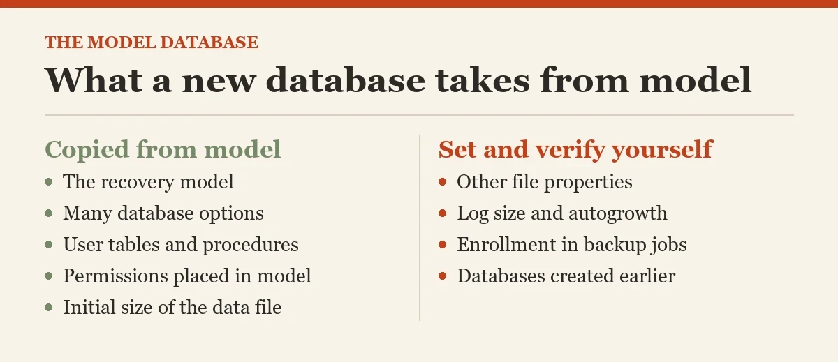 What a new database takes from model: a diagram about the model database