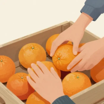Several hands reaching into a crate of oranges, each taking a different one, one hand passing over a held orange.