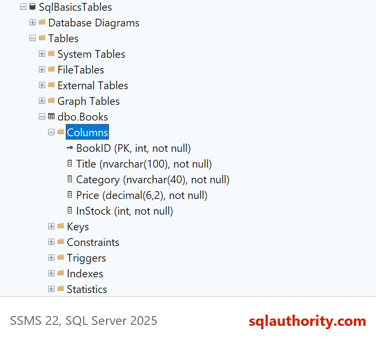 SSMS Object Explorer with dbo.Books expanded to show its five columns, each with a data type and nullability