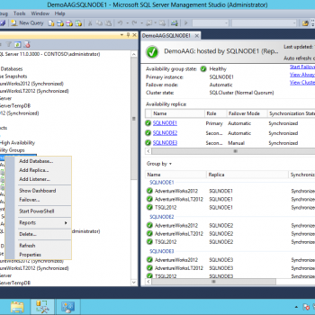 ems sql manager copy all result excel