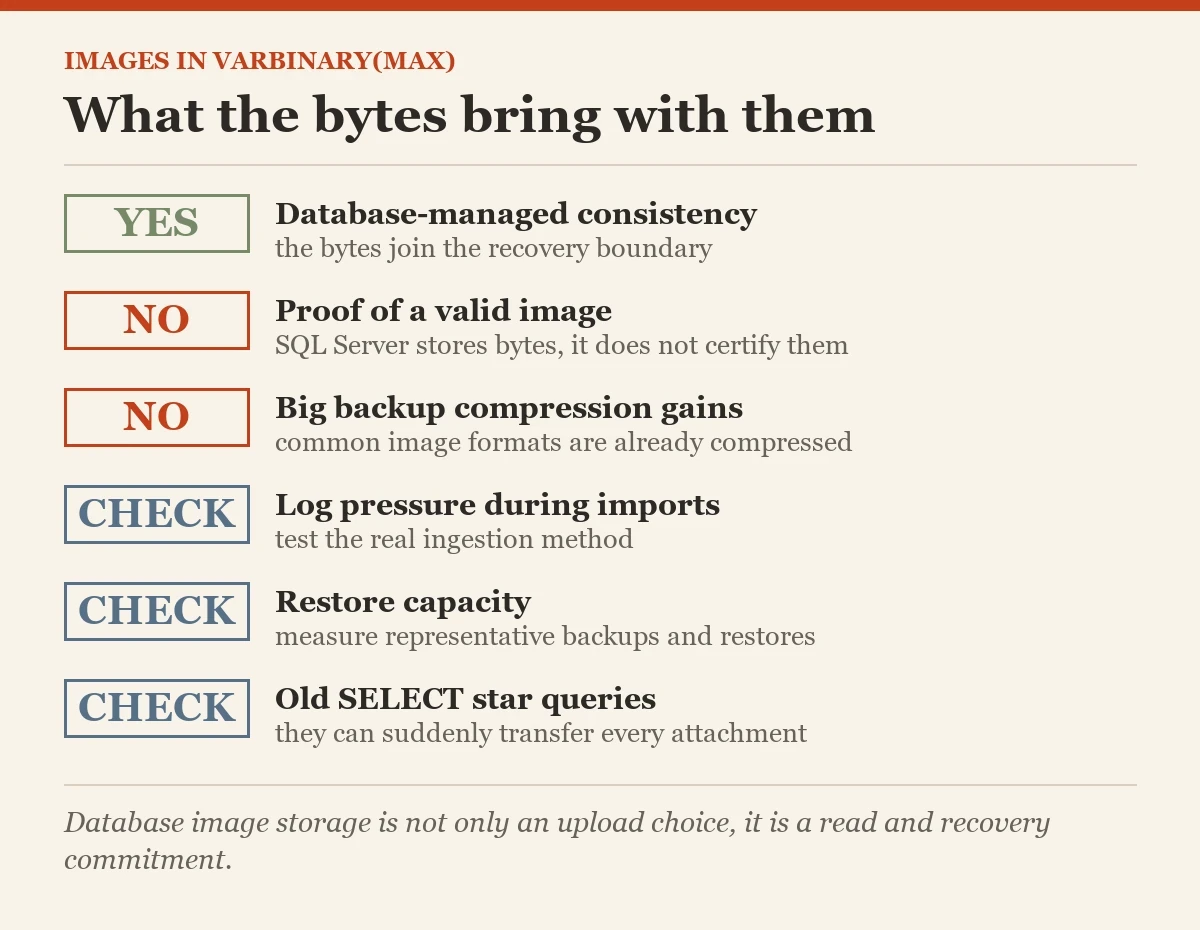 What the bytes bring with them: a checklist on the varbinary(max)