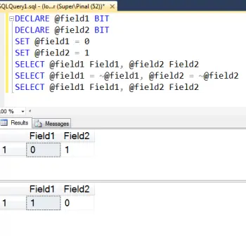 SQL SERVER - How to Flip Value of Bit Field in SQL Server?