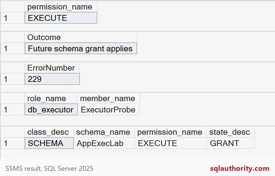 Executor permission, future procedure success, error 229, and the role and schema grants