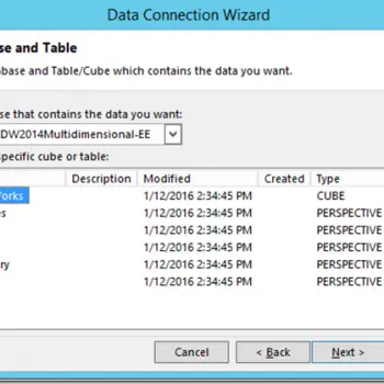 SQL SERVER - Boosting User Experience with Analysis Services Perspectives - Notes from the Field #116