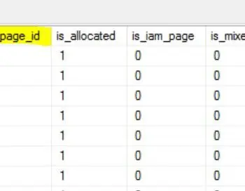 SQL SERVER - Identifying Page Types