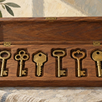 Distinct brass keys each occupy their required place in a wooden organizer