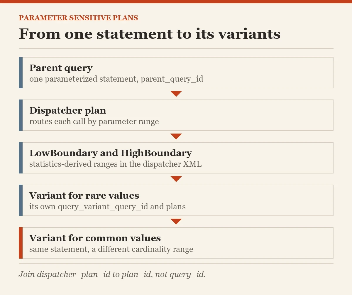 From one statement to its variants: a diagram about the query variants