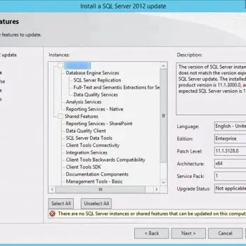 Sql server update tool window.