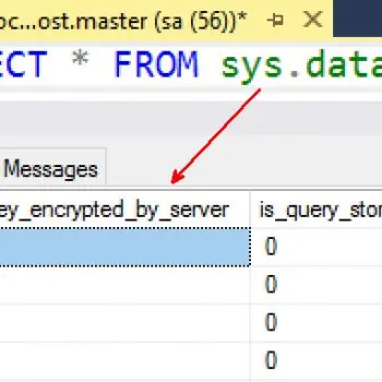 Results from sql server database.