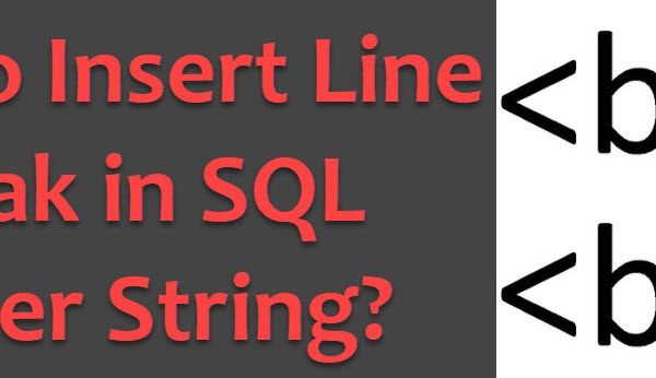 All Articles linebreak0-600x346 All Articles linebreak0-600x346