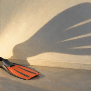 Small snorkeling fin casting an enlarged shadow on a cream wall