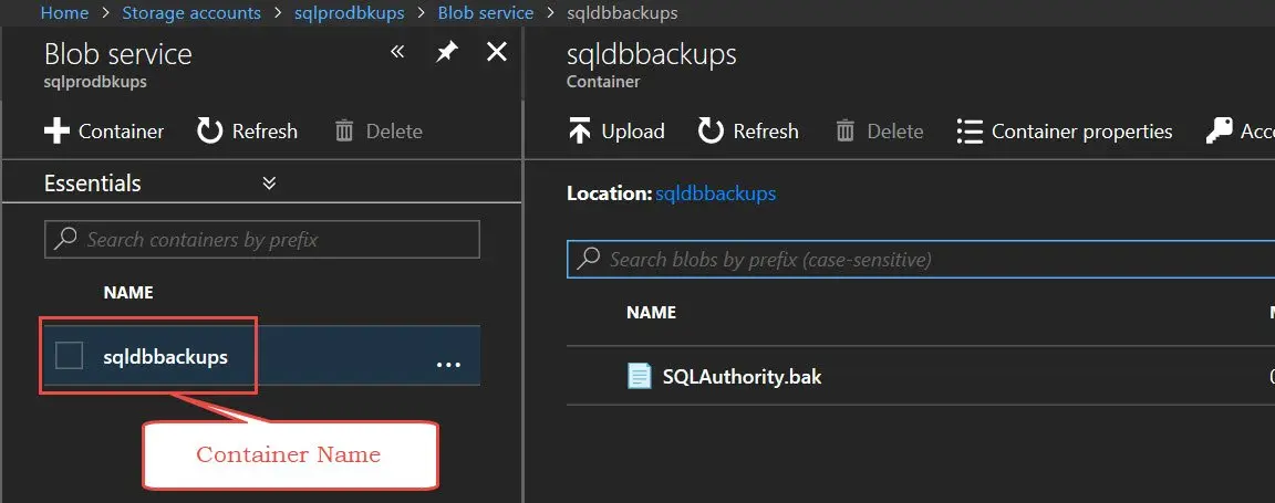 A SQL Server container backup.