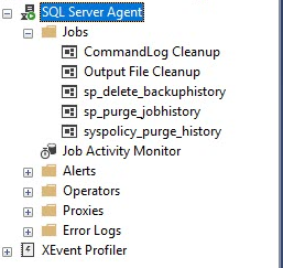 The Jobs folder appears when Agent is available