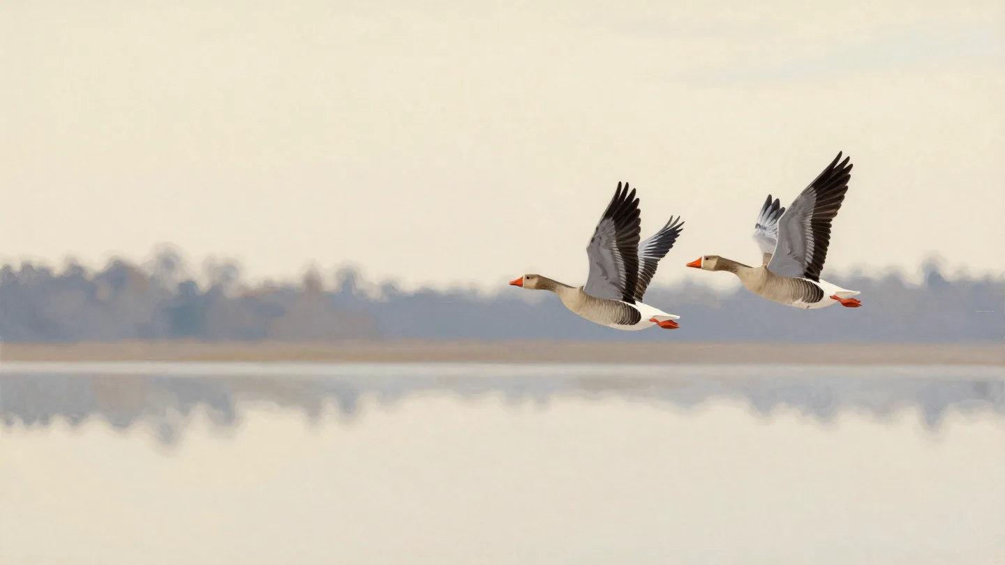 Geese flying in a V over a marsh at dusk, one moving up from the back to take the lead