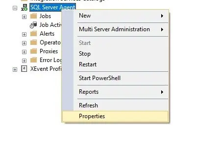 SQL Server Agent Properties.