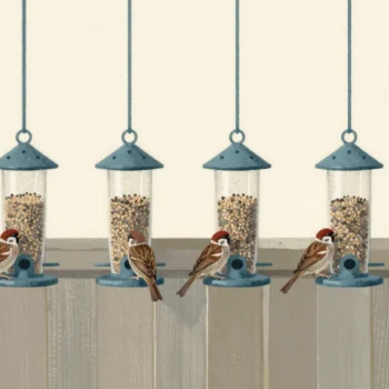 Six evenly spaced bird feeders on a fence, a flock of sparrows crowding one and a robin alone on another