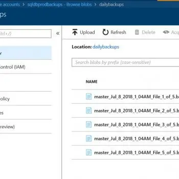 Sas Tool Window.