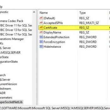 Certificate in SQL Server Registry Editor.
