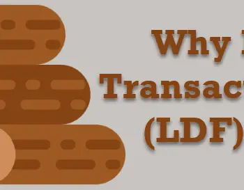 Huge Transaction Log LDF File.