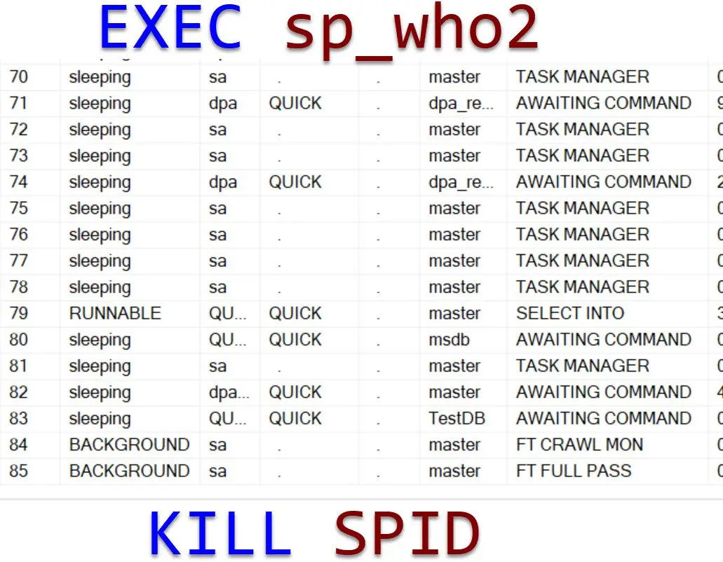 EXEC sp_who2.