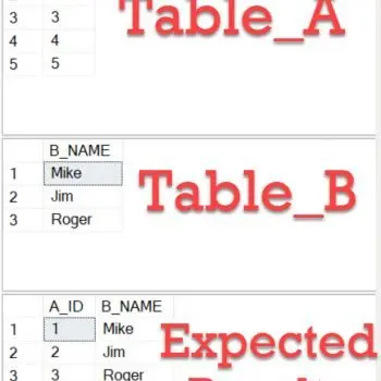 SQL Server query with expected results.