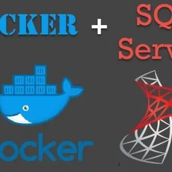 SQL Server Docker Logo.