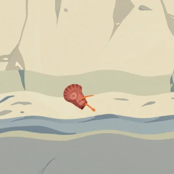 A layered sea cliff with one red fossil shell set in the middle band and a hand pointing to it